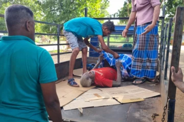 தமிழர் பகுதியில் அநாதரவான நிலையில் முதியவர்; மாவீரர்களின் தந்தையா?