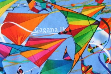 සරුංගල් යැවීම සම්බන්ධයෙන් මෙරටින් තහනමක්..