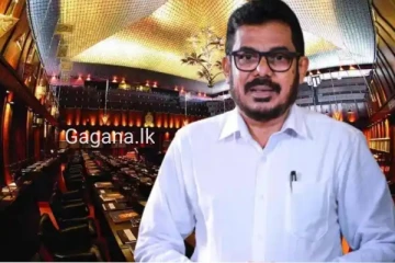 ඉල්ලා අස්වූ කථානායක ආචාර්ය උපාධිය ගේන්න ජපන් යයි…උපාධිය ගෙනාවොත් ඔක්කොම හරි.