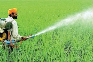 யாழ். மாவட்டத்தில் நெல் செய்கையாளர்களுக்கு வழங்கப்படவுள்ள திரவ நனோ நைட்ரஜன் உரம்