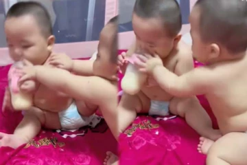 சுட்டிக்குழந்தைகளின் கடுமையான சண்டை! சிரிப்பை அடக்கமுடியாத காட்சி