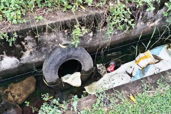 யாழில் பரவும் குற்றச்சாட்டு ; மலக்கழிவால் நிறைந்த வாய்க்கால்! | Allegation Spreading Jaffna Canal Full Excrement