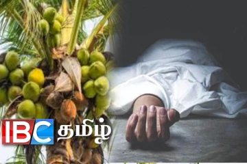 தேங்காய் பறிக்க தென்னை மரத்தில் ஏறிய இளைஞனுக்கு நேர்ந்த துயரம்