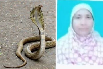 வீட்டில் சமைத்து கொண்டிருந்த பெண்ணின் காலில் ஏதோ சீண்டியது போல இருந்த உணர்வு! சில நிமிடங்களில் உயிரிழந்த பகீர் சம்பவம்