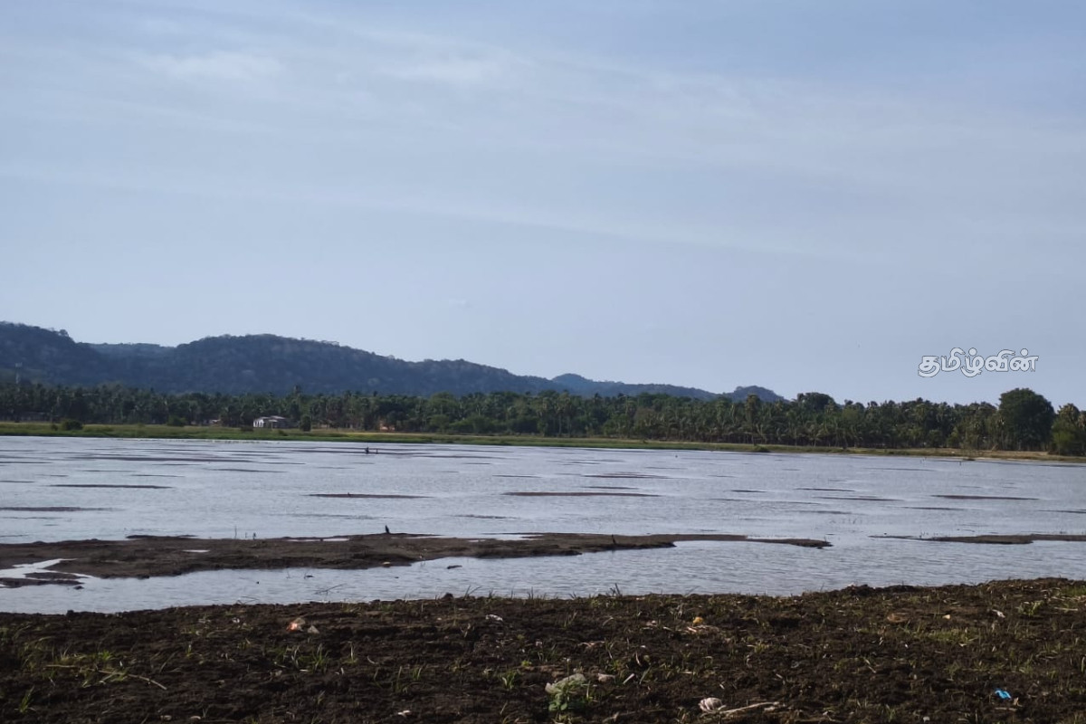வறட்சியால் வற்றும் சேனாவெளி குளம் – நீரின்றி தவிக்கும் தம்பலகாமம் | Severe Drought And El Ni O Weather Conditions வறட்சியால் வற்றும் சேனாவெளி குளம் – நீரின்றி தவிக்கும் தம்பலகாமம் | Severe Drought And El Ni O Weather Conditions