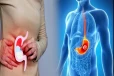 Stomach cancer: அடிக்கடி வயிற்றின் அந்த இடத்துல வலிக்குதா? அப்போ இந்த நோயாக இருக்கலாம்.. உஷார்!