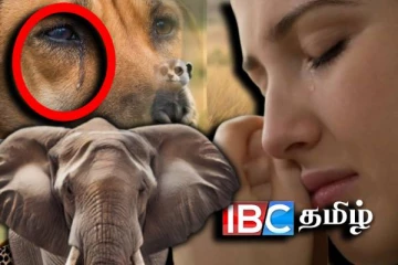 மனிதர்களைப் போல அழக் கூடிய விலங்குகள் எவை தெரியுமா..!