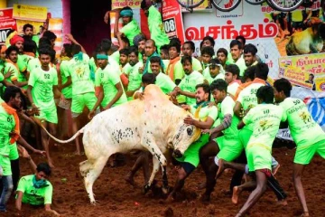 தமிழகத்தின் இந்தாண்டு தச்சங்குறிச்சியில் முதல் ஜல்லிக்கட்டு இனிதே நிறைவு