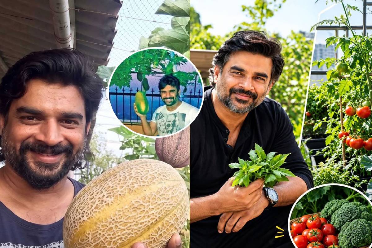 ரூ.17.5 கோடி வீட்டின் பால்கனியில் விவசாயம் செய்யும் நடிகர் மாதவன் - நீங்களும் செய்ய 5 எளிய வழிகள் இதோ! | Madhavan 17 5 Crore Home Balcony Organic Garden ரூ.17.5 கோடி வீட்டின் பால்கனியில் விவசாயம் செய்யும் நடிகர் மாதவன் - நீங்களும் செய்ய 5 எளிய வழிகள் இதோ! | Madhavan 17 5 Crore Home Balcony Organic Garden