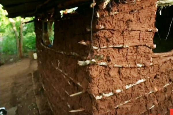 இலங்கை போரால் உணவுக்கு வழியில்லாமல் தவிக்கும் ஈழத்தமிழர்கள் - நெஞ்சை உருக்கும் காட்சிகள் | Sri Lankan Tamil Suffering From Loss Of Livelihood