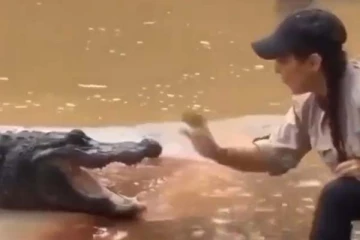 முதலை வாய்க்குள் கைவிட்ட பெண்ணிற்கு நடந்தது என்ன?