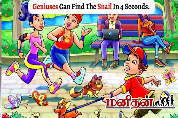 IQ Test: பூங்காவில் மறைந்திருக்கும் நத்தை.. 4 வினாடிகளில் கண்டுபிடிங்க | Brain Teaser Iq Test Find The Snail In The Park
