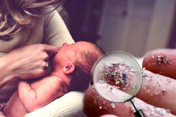 தாய்ப்பாலில் கலந்த பிளாஸ்டிக்! பேரதிர்ச்சி தரும் ஆய்வு: எச்சரிக்கை செய்தி