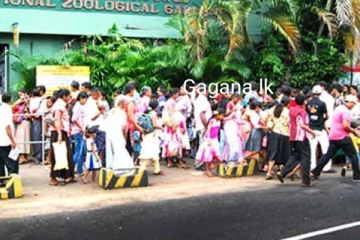 අද වයස අවුරුදු 12ට අඩු ළමුන්ට මෙන්න විශේෂ අවස්ථාවක්..