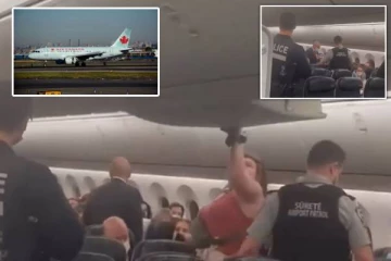 ஆயுதம் ஏந்திய காவலர்களால்... விமானத்தில் இருந்து கீழிறக்கப்பட்ட பிரித்தானிய தம்பதி: பரபரப்பு வீடியோ