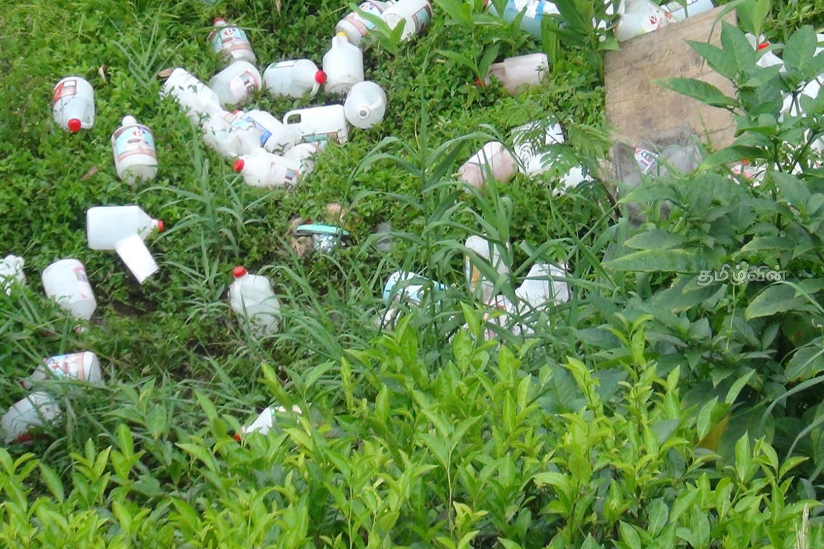 ஹட்டனில் மதகில் பாய்ந்து சிறிய ரக லொறி விபத்து! | Lorry Accident At Hatton