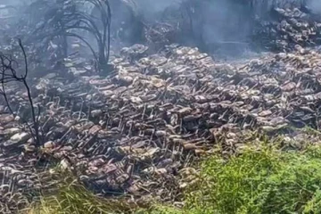 நூற்றுக்கணக்கான வாகனங்கள்  தீயில் கருகி நாசம்