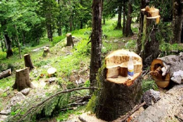 வன விலங்குகளால் ஏற்படும் சேதத்தை தடுப்பதற்கு பதிலாக இழப்பீடு