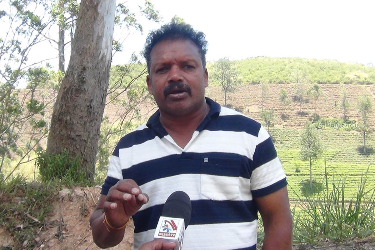 பொருளாதார நெருக்கடியால் மலையகத்தில் மந்த போசன நிலை அதிகரிக்கும்! சச்சிதாநந்தன் எச்சரிக்கை | Economic Crisis In Sri Lanka பொருளாதார நெருக்கடியால் மலையகத்தில் மந்த போசன நிலை அதிகரிக்கும்! சச்சிதாநந்தன் எச்சரிக்கை | Economic Crisis In Sri Lanka