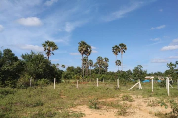 වසර 5ක් පුරා වැඩක් නොකර තියාගෙන හිටපු මහවැලි ඉඩම් සියල්ල රජයට පවරා ගනී