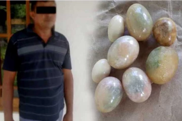 கஜமுத்துக்களுடன் நபர் கைது