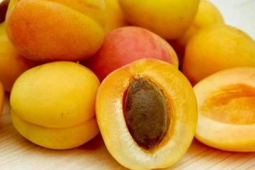 நீரிழிவை கட்டுப்படுத்தும் ஆப்ரிகாட் பழம்.... இவ்வளவு அற்புத நன்மைகளா?