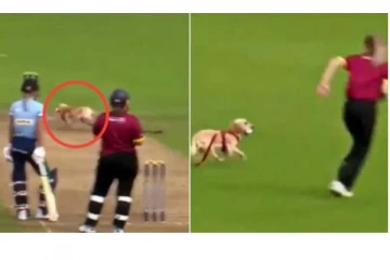 மைதானத்துக்குள் புகுந்து பந்தை கவ்விய நாய்: ஆட்டம் நிறுத்தம்! பின்பு நடந்தது என்ன?