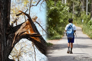 பாடசாலை மாணவனின் பரிதாப மரணம்: நீதிமன்றம் பிறப்பித்த உத்தரவு