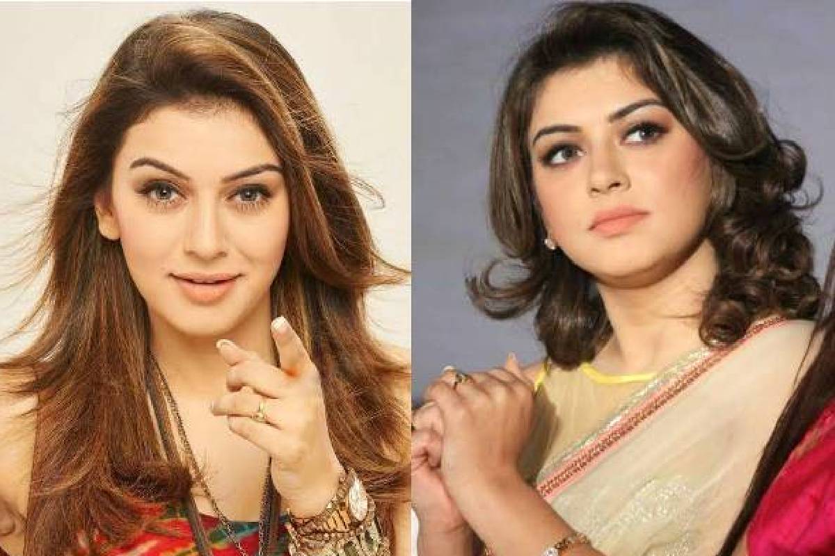 அசத்தலாக விநாயகர் சதுர்த்தி கொண்டாடிய ஹன்சிகா மோத்வானி... குவியும் லைக்குகள் | Hansika Motwani Vinayagar Chaturthi Pic Viral அசத்தலாக விநாயகர் சதுர்த்தி கொண்டாடிய ஹன்சிகா மோத்வானி... குவியும் லைக்குகள் | Hansika Motwani Vinayagar Chaturthi Pic Viral