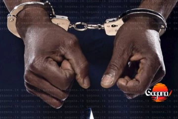 නීතිය කරන්න යද්දී පොලිස් සැරයන්ට මන්න පහරක්