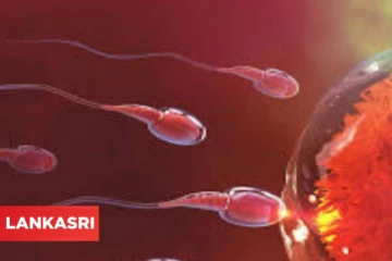 உங்கள் கணவருக்கு உயிரணுக்கள் குறைவாக இருக்கிறதா?