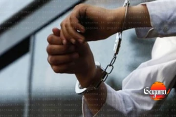 විදේශ සේවා හිටපු සභාපතිත් අල්ලස් කොමිසමෙන් අත්අඩංගුවට