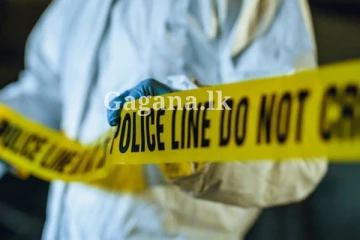 දෙමස්සිනාලගේ ඉහවහා ගිය කෝපය අවසානයේ කෙලවර වුණ තැන..