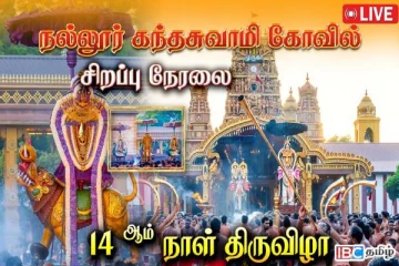 நல்லூர் அலங்கார கந்தனின் பதின்நான்காம் நாள் திருவிழா