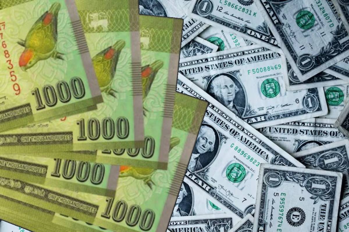 அமெரிக்க டொலரின் பெறுமதியில் இன்று ஏற்பட்ட மாற்றம் | Us Dollar Rate In Sri Lanka Banks Today Usd To Lkr