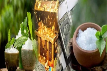 பச்சை கற்பூரத்தை இப்படி பயன்படுத்தி பாருங்க... பணத்துக்கு பஞ்சமே வராது