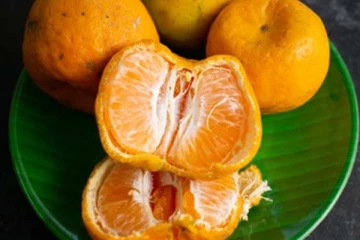 குளிர் காலத்தில் ஆரஞ்சு பழம் சாப்பிட்டால் நல்லதா? கட்டாயம் தெரிஞ்சிக்கோங்க