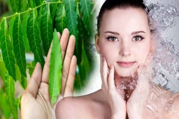 Neem Leaves Benefits: என்றும் இளமையாகவே இருக்கணுமா? வேப்ப இலை ஒன்னே போதும்