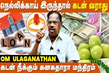 நெல்லிக்காய் இருந்தால் கடன் தொல்லை இருக்காது - பிரபல ஜோதிடரின் கருத்து