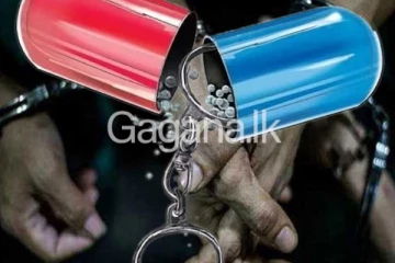 මත් පෙති සමග දෙදෙනෙකු හසු වෙයි..