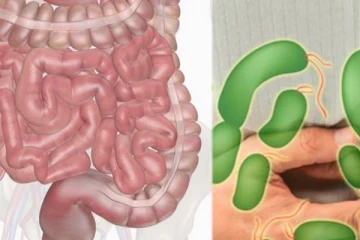 உடலில் உள்ள புழுக்கள் எப்படி இயற்கை முறையில் அழிக்கலாம்?