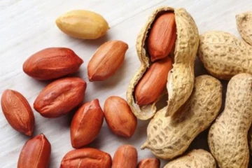 கர்ப்பமாக இருக்கும் பெண்கள் நிலக்கடலை சாப்பிடுவது பாதுகாப்பானதா? கண்டிப்பா தெரிஞ்சிகோங்க