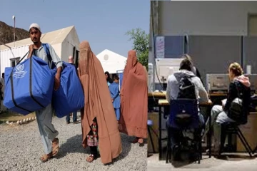 இந்த அகதிகளில் கிட்டத்தட்ட பாதி பேருக்கு சொந்த நாட்டுக்கு திரும்பிச் செல்ல மனமில்லையாம்