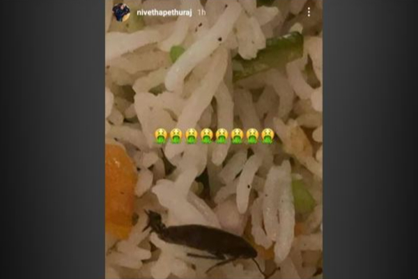 உணவில் கரப்பான் பூச்சி - கடுப்பான நடிகை! | Nivetha Pethuraj Order Food Online Cockroach