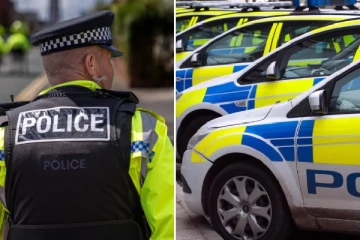 லண்டனில் பெண்ணுக்கு நடந்த கொடூரம்: 25 வயது இளைஞர் மீது கொலை குற்றச்சாட்டு