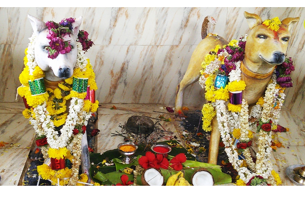நாய்க்கு சிலை வைத்து கடவுளாக வழிபடும் கிராமம் | Karnataka Dog Temple