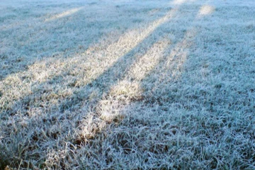 பல பகுதிகளில் குளிரான காலநிலை - நுவரெலியா மாவட்டத்தில் பனித்துளி