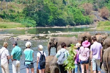 சுற்றுலாத்துறைக்கு பாதுகாப்பான இடமாக இலங்கை உள்ளது