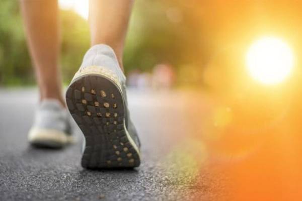 இந்த ஒரு வைட்டமின் குறைபாடு பல நோய்களுக்கு காரணமாம்! எச்சரிக்கும் மருத்துவர்கள் | How Vitamin D Deficiency Impacts The Body இந்த ஒரு வைட்டமின் குறைபாடு பல நோய்களுக்கு காரணமாம்! எச்சரிக்கும் மருத்துவர்கள் | How Vitamin D Deficiency Impacts The Body