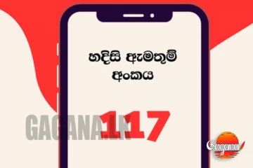 වියළි කාලගුණයත් එක්ක ආපදා කලමණාකරන මධ්‍යස්ථානයෙන් ජනතාවට දැනුම්දීමක්